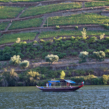 Traditional boat sailing by vineyards